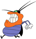 Cockroach DeeDee