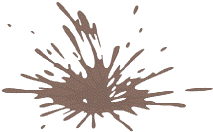 Splash Effect