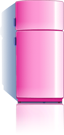 Fridge